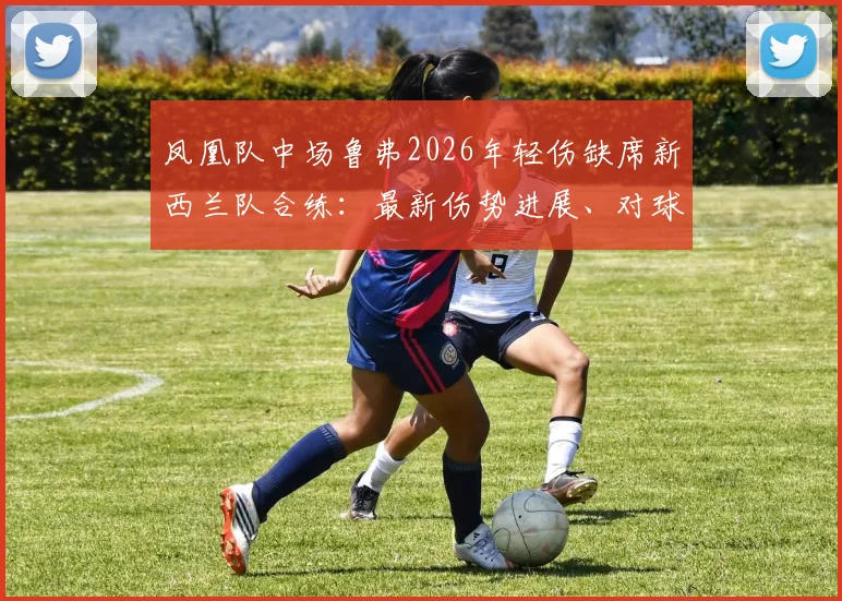 凤凰队中场鲁弗2026年轻伤缺席新西兰队合练：最新伤势进展、对球队影响及预计复出时间分析